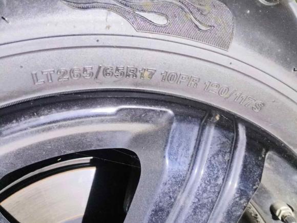 [宁波·浙B] 二手坦克坦克3002023款 越野版 2.0T 征服者