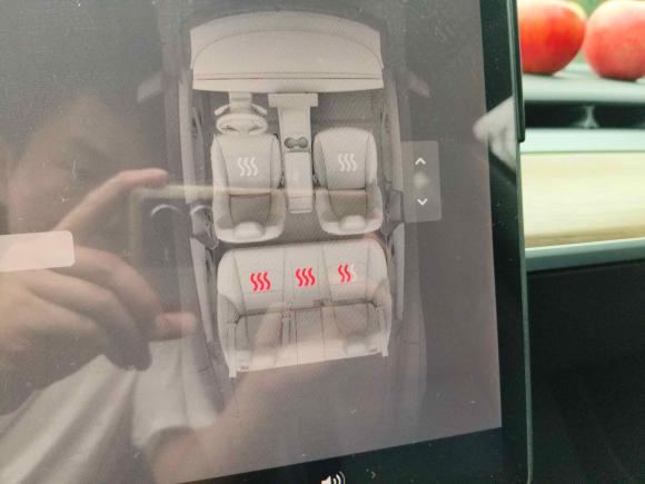[上海·沪A] 二手特斯拉Model 32021款 标准续航后驱升级版 3D6