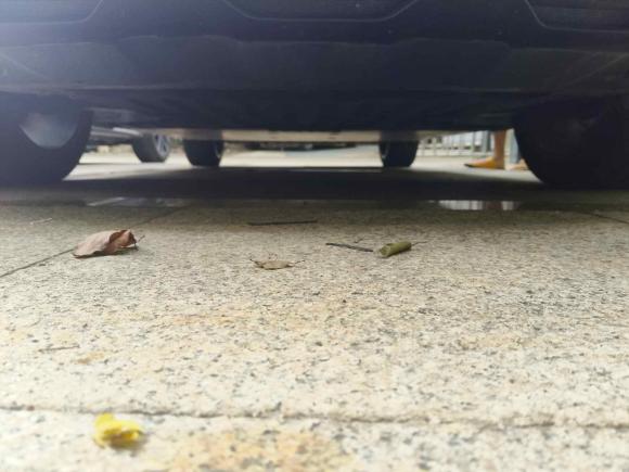 [上海·沪A] 二手smartsmart精灵#12022款 Pulse心动版