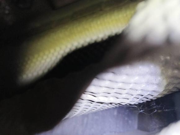 [成都·川A] 二手路虎揽胜极光2014款 2.0T 5门耀动版