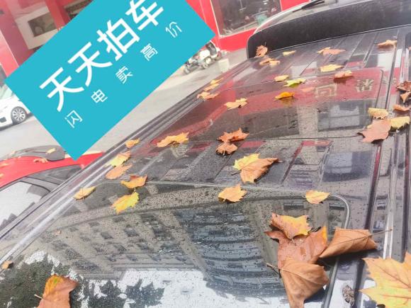 [义乌·浙G] 二手岚图汽车岚图梦想家2022款 0碳版 梦+智享续航包 605km