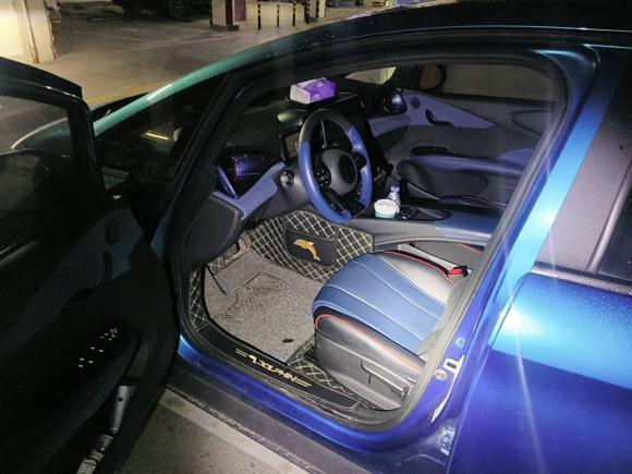 [上海·沪A] 二手比亚迪海豚2021款 405km 自由版