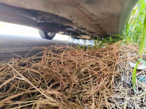 [深圳·粤S] 二手宝骏宝骏7302016款 1.5L 手动舒适型 7座 国V