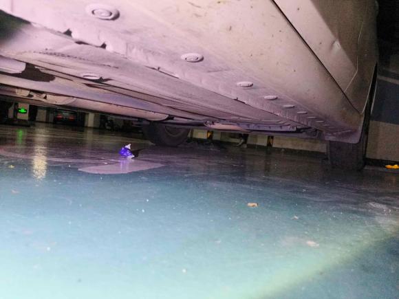 [深圳·粤J] 二手日产骐达TIIDA2016款 1.6L CVT酷动版