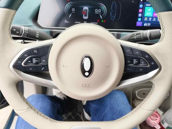 [杭州·浙A] 二手欧拉欧拉好猫2023款 401km标准续航 豪华型 磷酸铁锂