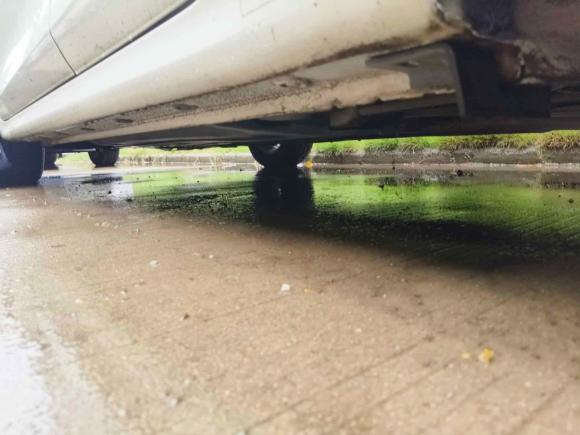 [合肥·皖A] 二手起亚福瑞迪2019款 1.6L 自动风尚版 国VI