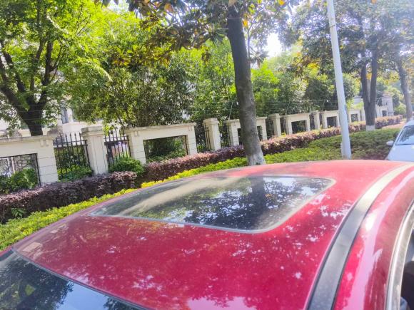 [苏州·苏E] 二手比亚迪秦PLUS2021款 EV 400KM 豪华型