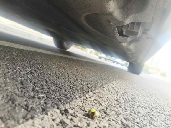 [宁波·浙B] 二手宝马宝马5系2011款 528Li 领先型