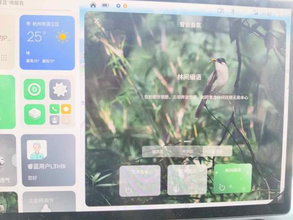 [杭州·浙A] 二手睿蓝汽车睿蓝72023款 450km 驰月