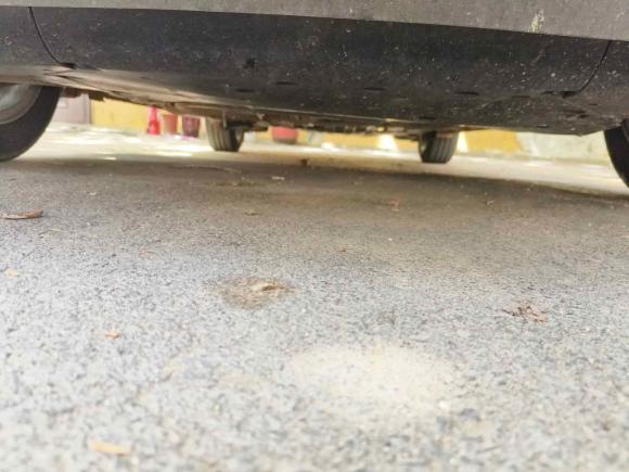 [济南·鲁A] 二手本田飞度2018款 1.5L CVT舒适天窗版