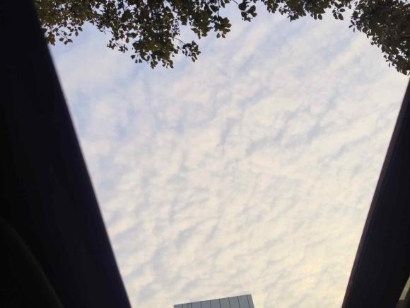 [苏州·苏E] 二手马自达马自达CX-42016款 2.0L 自动两驱蓝天品位版