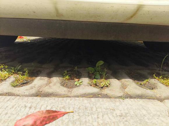 [苏州·苏E] 二手日产骐达TIIDA2021款 1.6L CVT智行版