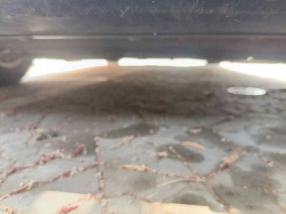 [佛山·粤X] 二手本田思域2016款 220TURBO CVT豪华版