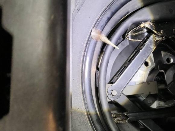 [杭州·浙A] 二手凯迪拉克SLS赛威2011款 2.0T 精英型