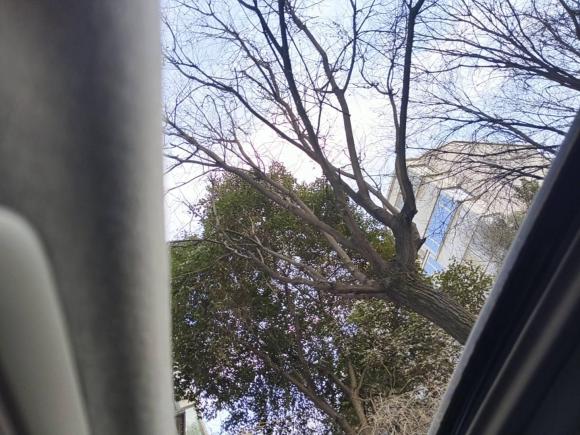 [西安·陕U] 二手马自达马自达3 昂克赛拉2021款 2.0L 自动质睿版