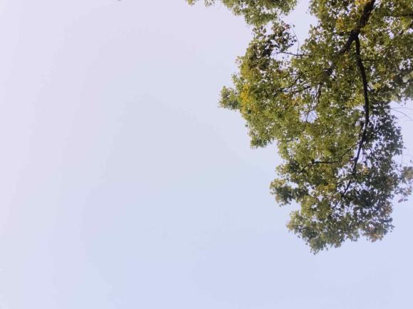 [上海·沪C] 二手大众速腾2012款 1.4TSI 自动豪华型