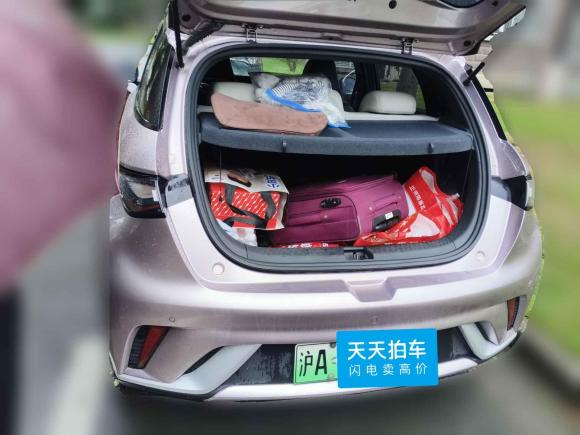 [上海·沪A] 二手比亚迪海豚2021款 405km 时尚版