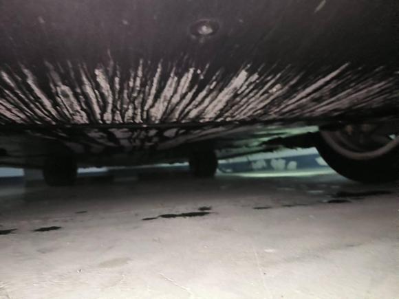 [宁波·浙B] 二手特斯拉Model Y2021款 标准续航后驱版