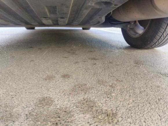 [上海·沪C] 二手本田享域2019款 180TURBO CVT乐享版 国V