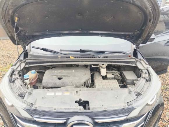 [湖州·浙E] 二手广汽传祺传祺M62019款 270T DCT豪华版（七座）国VI