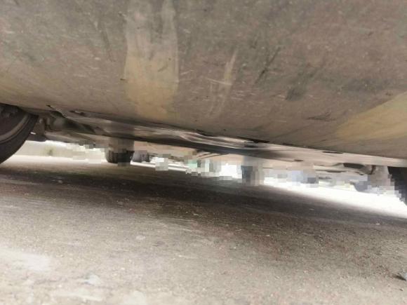 [义乌·浙G] 二手特斯拉Model Y2021款 标准续航后驱版