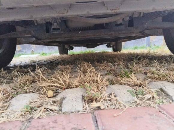 [青岛·鲁B] 二手五菱汽车五菱宏光2019款 1.5L S标准型国VI LAR