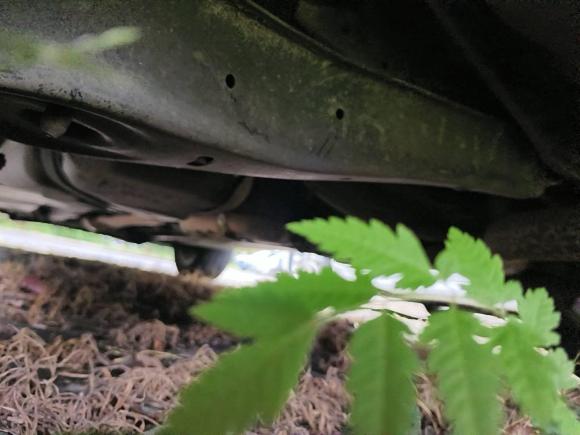 [上海·苏A] 二手大众途观2015款 1.8TSI 自动两驱风尚版