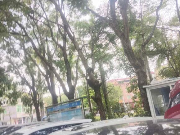 [深圳·粤B] 二手威马汽车威马EX52019款 EX5 智行2.0 Extra创新版400