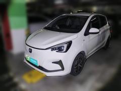 [苏州·冀F] 长安长安奔奔E-Star2020款 心动版 三元锂