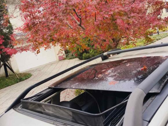 [上海·沪M] 二手路虎神行者22012款 2.2T SD4 SE柴油版