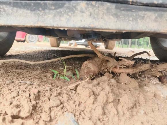 [青岛·鲁B] 二手凯迪拉克凯迪拉克SRX2015款 3.0L 精英型