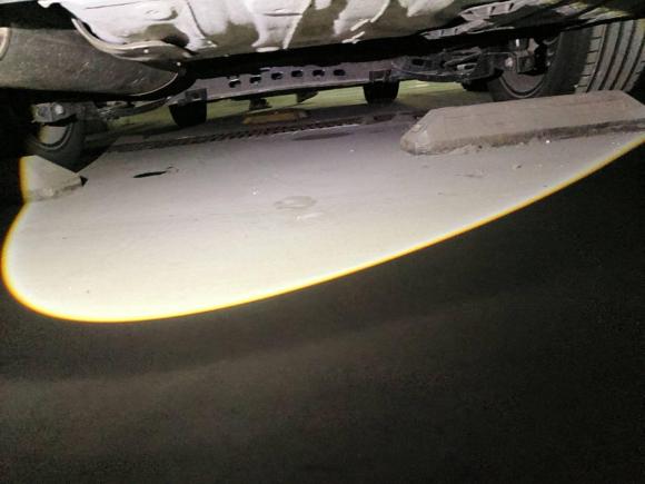 [青岛·鲁B] 二手大众宝来2023款 200TSI DSG悦行版