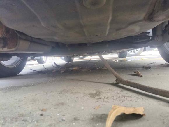 [佛山·川X] 二手日产轩逸2014款 1.6XV CVT尊享版