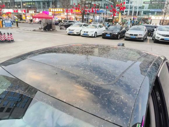 [成都·川G] 二手红旗红旗H52023款 1.5T DCT智联旗韵版