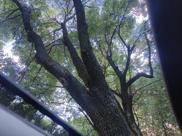 [合肥·皖A] 二手别克君越2013款 2.4L SIDI领先舒适型