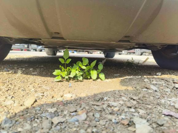 [佛山·粤Y] 二手路虎发现2020款 3.0 SC V6 SE