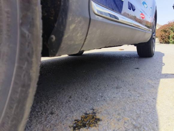 [上海·沪C] 二手红旗红旗HS52019款 2.0T 智联旗领版