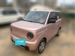 [武汉·豫S] 吉利银河熊猫2024款 熊猫mini 200km 耐力熊