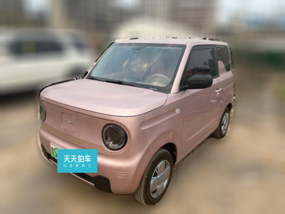 吉利銀河熊貓2024款 熊貓mini 200km 耐力熊「武漢二手車」「天天拍車」