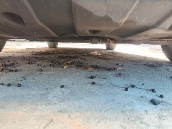 [上海·沪C] 二手起亚起亚K32017款  1.6L 自动15周年特别版GLS