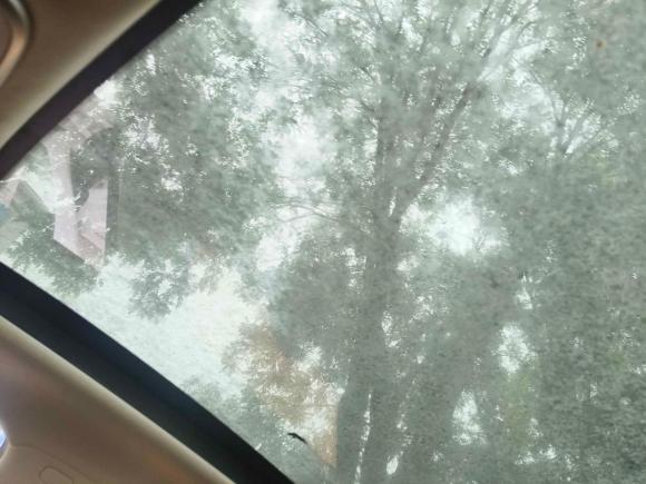 [西安·陕A] 二手吉利汽车帝豪GS2016款 优雅版 1.8L 手动领尚型