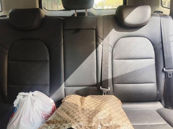 [合肥·皖A] 二手哈弗哈弗大狗2021款 1.5T DCT两驱拉布拉多版