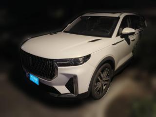 奔腾奔腾T992020款 20TD 自动尊享型