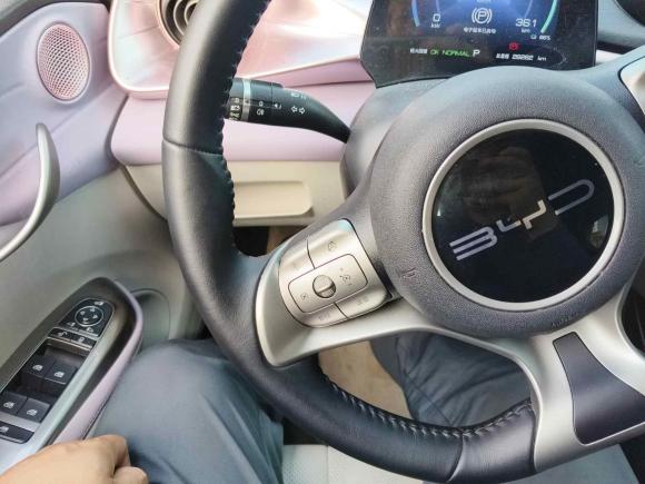 [杭州·浙A] 二手比亚迪海豚2023款 420km 时尚版