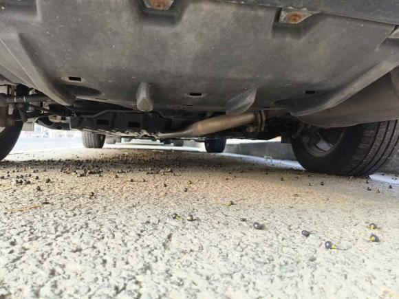 [苏州·苏E] 二手丰田凯美瑞2016款 2.0G 十周年纪念豪华版