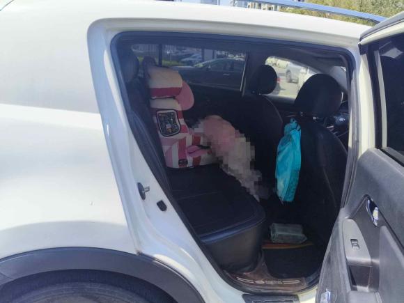 [温州·浙C] 二手起亚智跑2012款 2.0L 自动两驱版NAVI