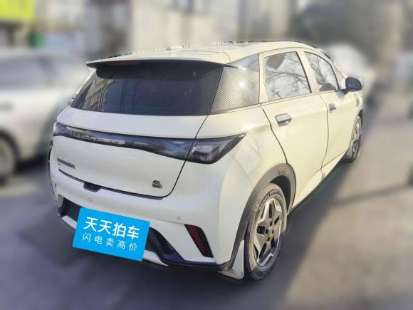 [上海·沪B] 二手比亚迪海豚2021款 405km 时尚版