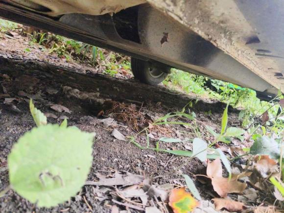 [武汉·鄂A] 二手宝骏宝骏5102019款 1.5L 手动优享型 国V
