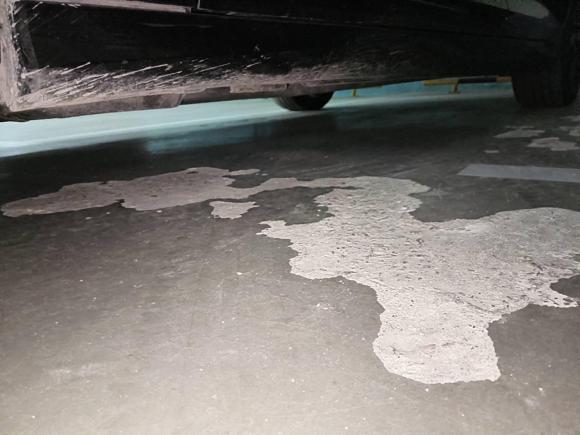 [上海·沪M] 二手奥迪奥迪A6L2020款 45 TFSI quattro 臻选动感型