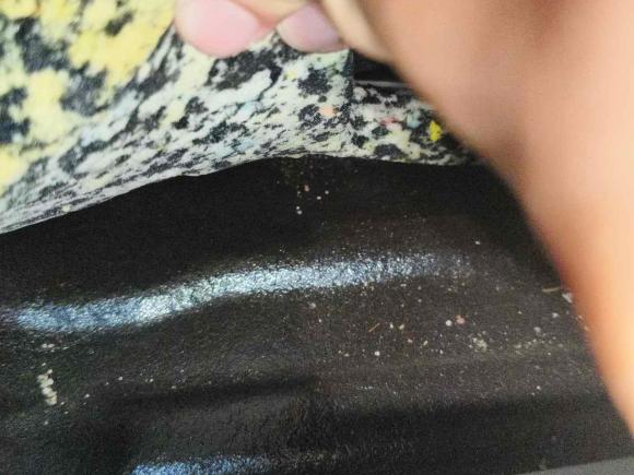 [广州·粤S] 二手本田本田CR-V2021款 240TURBO CVT两驱舒适版